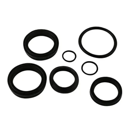 Cylinder, Rebuilding Kit for 2